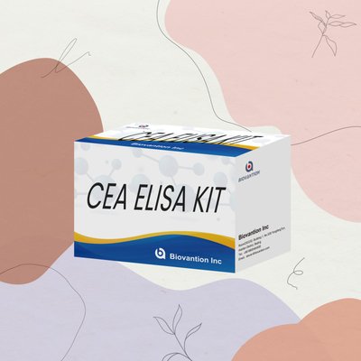 Kit de test ELISA quantitatif CEA à haute performance pour la recherche et la clinique