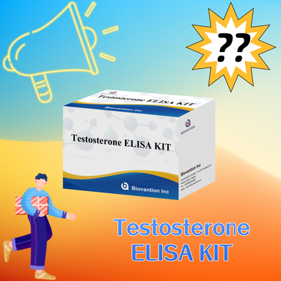 Kit de test Elisa de testostérone à haute performance pour la quantification précise des biomarqueurs