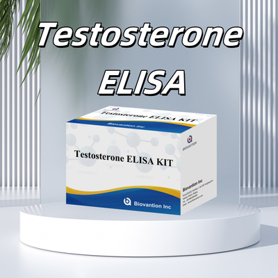 Kit de test Elisa de testostérone à haute performance pour la quantification précise des biomarqueurs