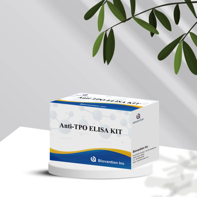 Kit de test TPO Elisa pratique et précis pour la détection et la surveillance des maladies