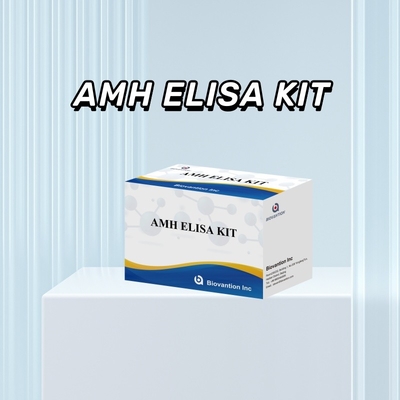 Test IVD Hormone anti-mullérienne AMH Elisa détectée chez l'homme avec test 96