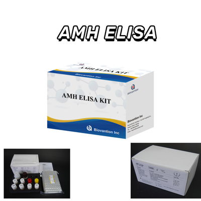 Test IVD Hormone anti-mullérienne AMH Elisa détectée chez l'homme avec test 96