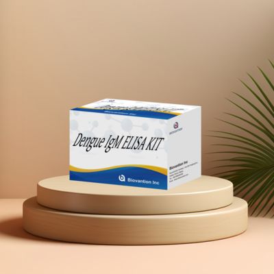 Kit ELISA IgM pour la détection précoce des anticorps du virus de la dengue chez l'homme avec 96 tests