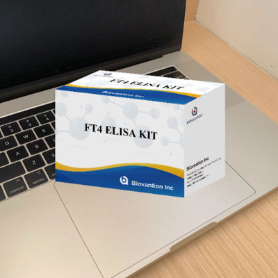 High Sensitivity Real Time PCR Respiratory Pathogen Detection System with Multiplex Detection and 1 Hour Reaction Time