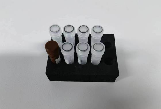 Kit de test du virus du chikungunya pour le diagnostic rapide du plasma sérique humain et du sang entier