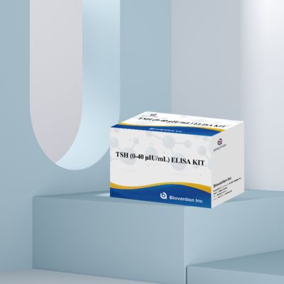 Diagnostic précis des troubles de l'axe hypothalamo-hypophyso-thyroïdien avec un kit de test ELISA TSH hautement sensible