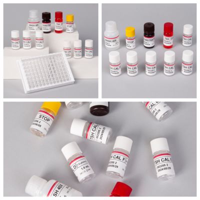 Diagnostic précis des troubles de l'axe hypothalamo-hypophyso-thyroïdien avec un kit de test ELISA TSH hautement sensible