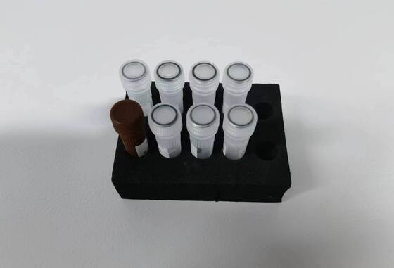 Détection de la dengue par PCR test de haute qualité avec 48 tests