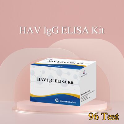Kit ELISA IgG HAV de haute sensibilité (0,2 ng/mL) Certifié CE pour une détection précise du virus de l'hépatite A dans 96 tests