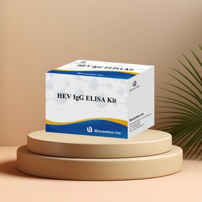 Kit de test ELISA IgG anti-VHE à haute sensibilité, format 96 tests, durée de conservation de 18 mois pour le diagnostic de l'hépatite E