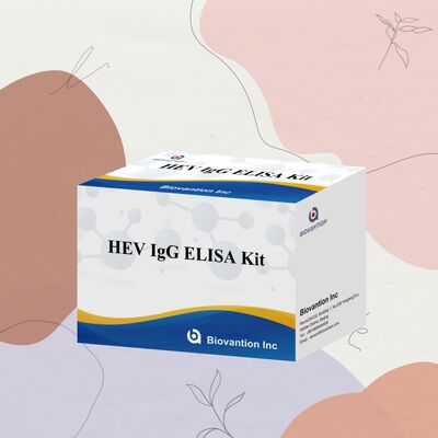 Kit de test ELISA IgG anti-VHE à haute sensibilité, format 96 tests, durée de conservation de 18 mois pour le diagnostic de l'hépatite E