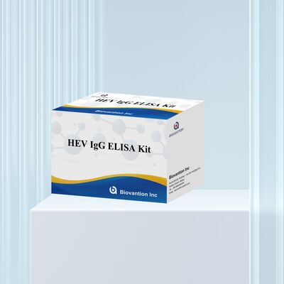 Kit de test ELISA IgG anti-VHE à haute sensibilité, format 96 tests, durée de conservation de 18 mois pour le diagnostic de l'hépatite E