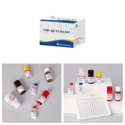 Kit de test ELISA CMV 96T avec détection colorimétrique et méthode sandwich pour les anticorps contre le cytomégalovirus