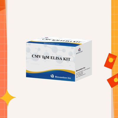 Kit de test ELISA CMV 96T avec détection colorimétrique et méthode sandwich pour les anticorps contre le cytomégalovirus