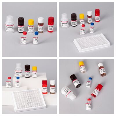 Kit de test ELISA CMV 96T avec détection colorimétrique et méthode sandwich pour les anticorps contre le cytomégalovirus