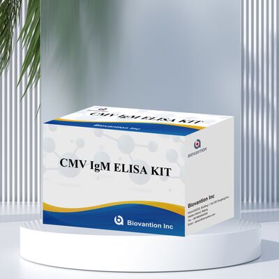 Kit de test ELISA CMV 96T avec détection colorimétrique et méthode sandwich pour les anticorps contre le cytomégalovirus
