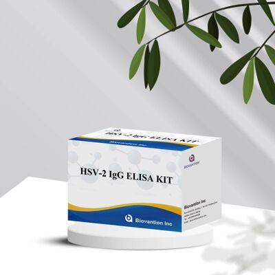 Kit de test Elisa pour la détection d'anticorps IgG HSV-2 à haute sensibilité et à haute spécificité avec une durée de conservation de 18 mois