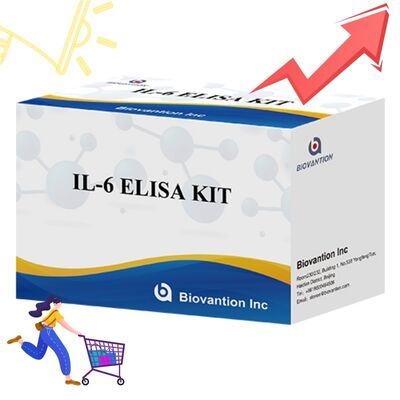 Kit ELISA humain IL-6 Interleukine-6 avec une précision de 99%, une durée de conservation de 24 mois et 96 tests/kit