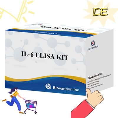 Kit ELISA humain IL-6 Interleukine-6 avec une précision de 99%, une durée de conservation de 24 mois et 96 tests/kit