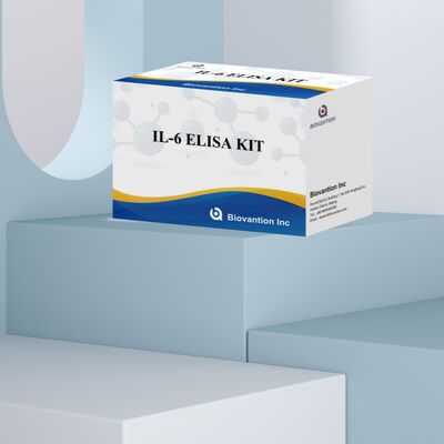 Kit ELISA humain IL-6 Interleukine-6 avec une précision de 99%, une durée de conservation de 24 mois et 96 tests/kit
