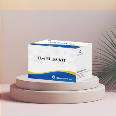 Kit ELISA humain IL-6 Interleukine-6 avec une précision de 99%, une durée de conservation de 24 mois et 96 tests/kit