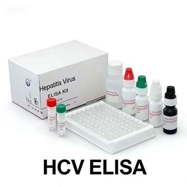 Anticorps anti-HCV contre le virus de l'hépatite C Temps de transport lié à l'enzyme court