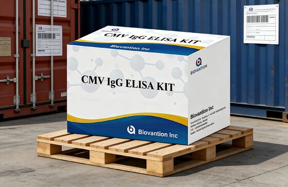 Kit de test Elisa IgG pour le CMV de haute précision en laboratoire ou à l'hôpital