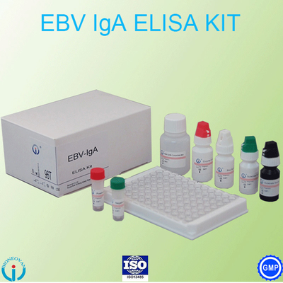 Spécimen d'EBV-VCA IgA Ab Test ELISA Kit Enzyme Immunoassay Test Plasma