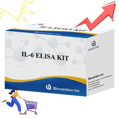 Kit ELISA à haute sensibilité pour la détection de l'IL6 Réactifs de recherche fiables pour une analyse précise des cytokines