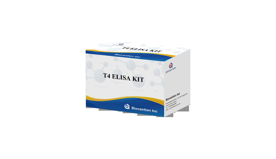 Kit de test Elisa T4 hautement spécifique pour la détection précise des substances cibles