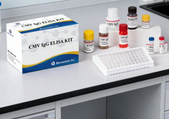 Kit de test Elisa IgG CMV avec 96 puits et emballage en bandes de 8 x 12